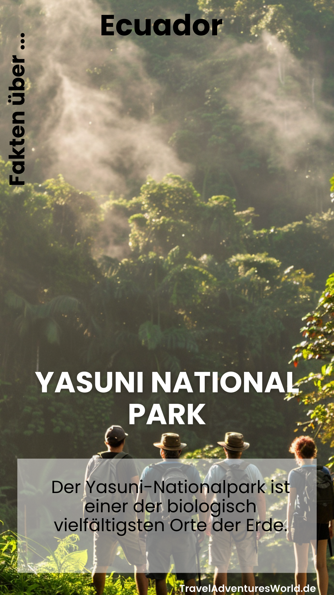 Der Yasuni-Nationalpark