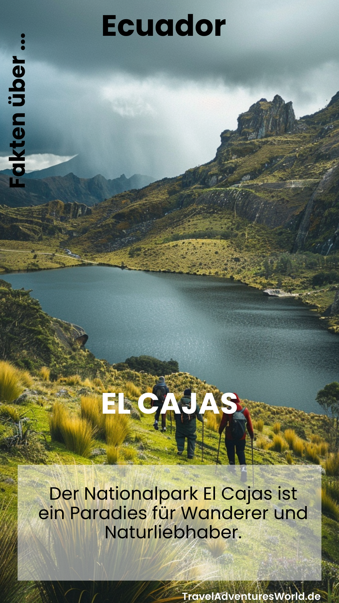 Der Nationalpark El Cajas