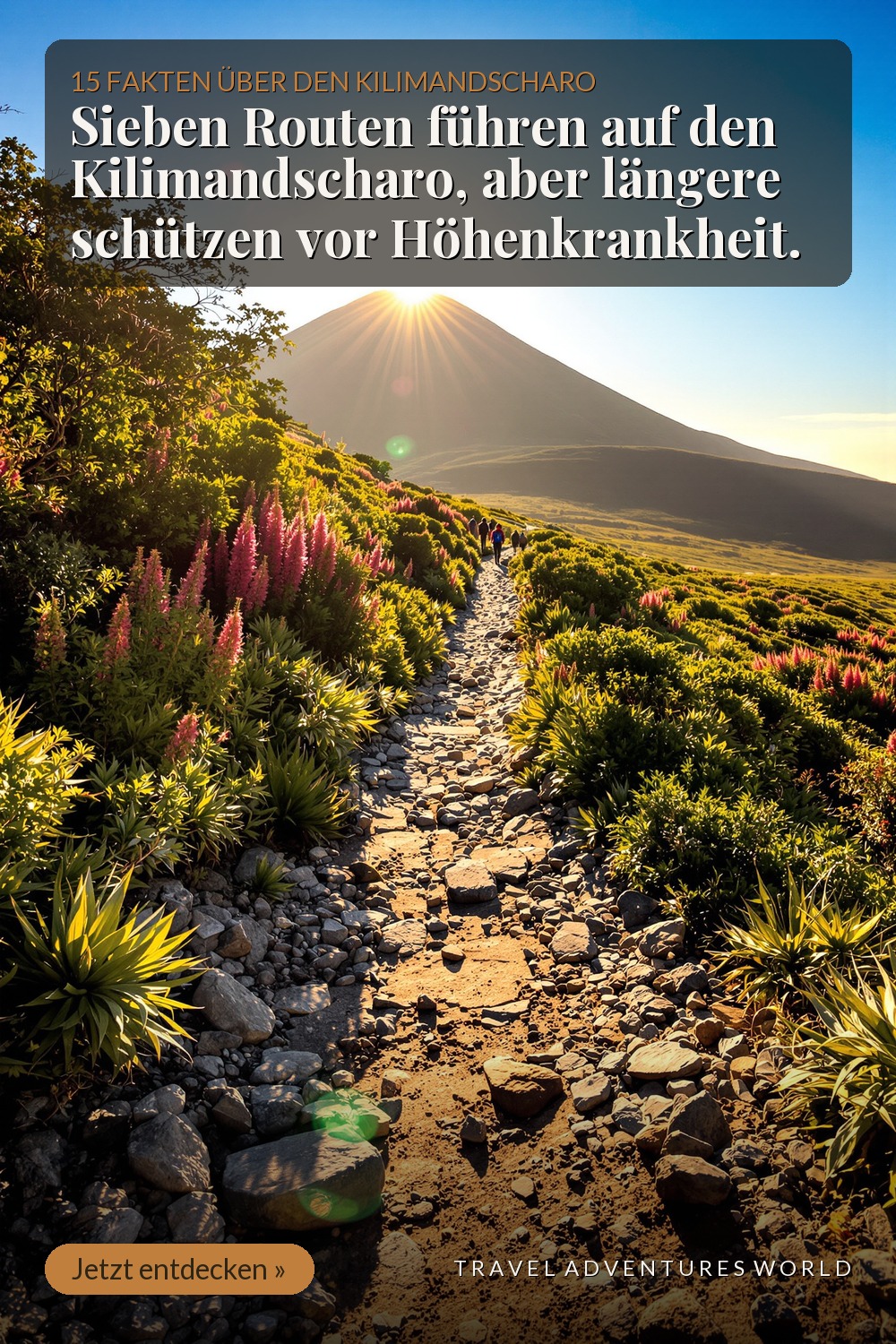 7 Routen, eine Regel: längere Wege, bessere Chancen