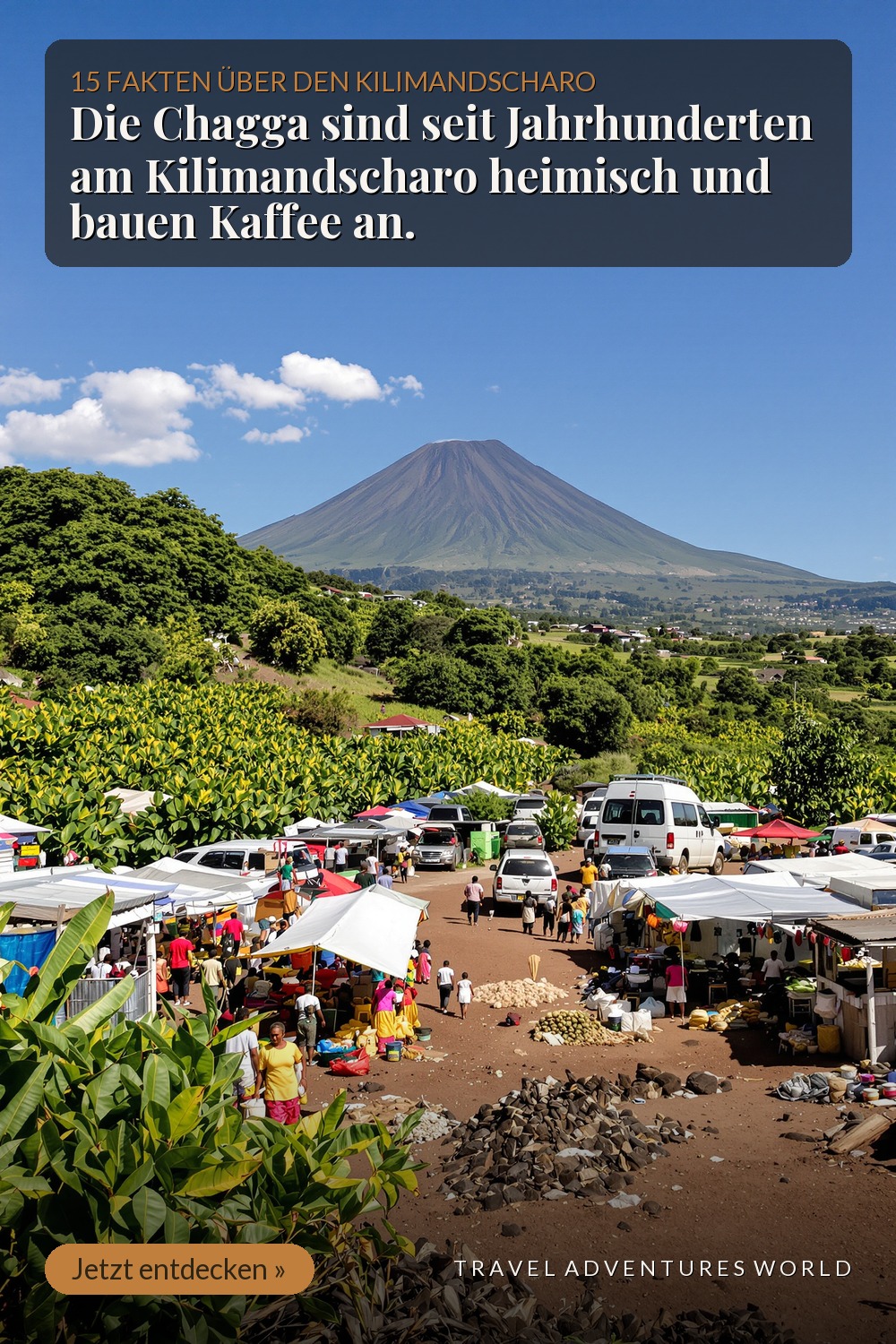 Chagga: Kaffeebauern, Kanalbauern – und dein Guide